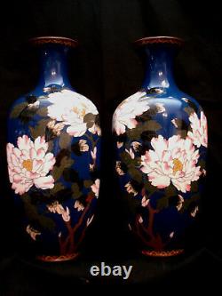12 Japanese Meiji Period Cloisonne Matching Pair Hexagon Vase