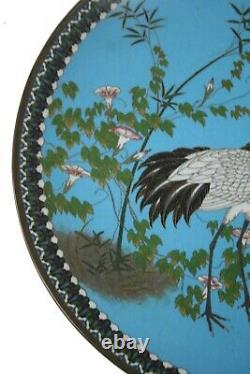 18 Japanese Cloisonne Charger, Meiji Period 1868-1912 Perfect Condition