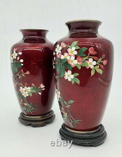 2 Antique Japanese Sato Pigeon Blood Cheery Blossom Tree Flower Cloisonne Vases