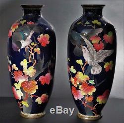 2 Japanese Cloisonné Enameled Birds Cobalt Vases, Meiji (1868-1912)