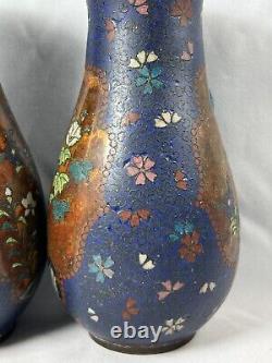 6'pair Matching Antique Cloisonné Japanese Vases Floral Blue Meiji 19th Century