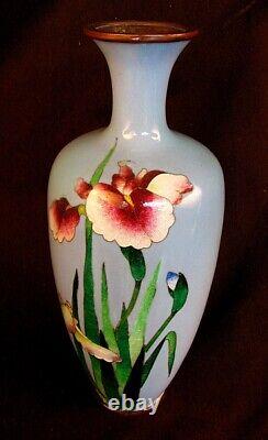 ANTIQUE MEIJI CLOISONNE VASE ORCHIDS BLUE c. 1880