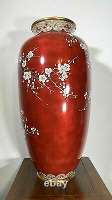 A Superb Big Vase Japanese Silver Wire Cloisonne Falcon & Prunus Meiji Era