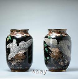 A pair of round cloisonné enamel Vases Meiji era (1868-1912) Bird of Prey Tak