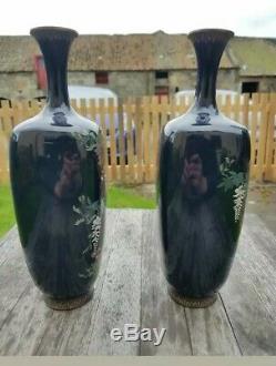 A rare and exquisite pair of Japanese Meiji period Cloisonne Vases Signed Ota