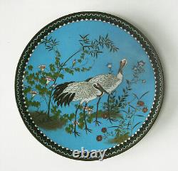 An 18 Japanese Cloisonne Charger, Meiji Period 1868-1912