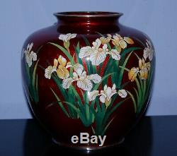 Ando Iris Cloisonne Vase With Butterfly Ginbari Pigeon Blood