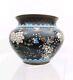 Antique 19c Japanese Meiji Period Black Enamel Cloisonne Vase Blossoms Butterfly