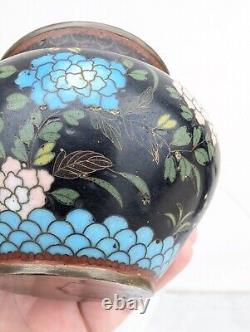 Antique 19C Japanese Meiji Period Black Enamel Cloisonne Vase Blossoms Butterfly