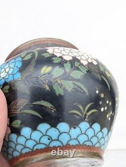 Antique 19C Japanese Meiji Period Black Enamel Cloisonne Vase Blossoms Butterfly