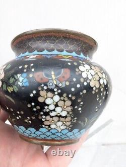 Antique 19C Japanese Meiji Period Black Enamel Cloisonne Vase Blossoms Butterfly