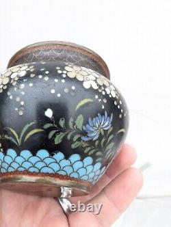 Antique 19C Japanese Meiji Period Black Enamel Cloisonne Vase Blossoms Butterfly