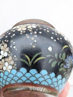 Antique 19C Japanese Meiji Period Black Enamel Cloisonne Vase Blossoms Butterfly