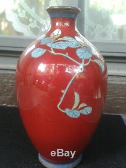 Antique 6 CAMELLIA Japanese MEIJI period Cloisonne Vase