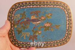 Antique Chinese Cloisonné Tray very fine work 7 3/8 by 5 1/4 very fine work