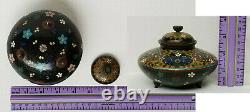 Antique Japanese Cloisonne Footed and Lidded Jar with Butterflies and Flowers