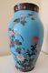Antique Japanese Cloisonné Large Vase Meiji Period Bird Blossom Butterfly, 26cm