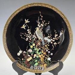 Antique Japanese Meiji Cloisonne Black Ground Silver Wire Plate with Hawk