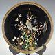 Antique Japanese Meiji Cloisonne Black Ground Silver Wire Plate With Hawk