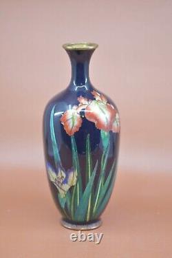 Antique, Japanese, cloisonne, vase, 9.75 inches