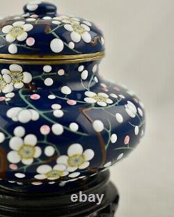 Antique Meiji-Period Japanese Cloisonne moriage lidded jar by Kumeno Teitaro