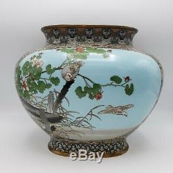 Antique Pair of Powder Blue Japanese Cloisonne Vases with Birds Very Large Size
