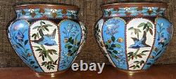 Antique true facing pair of Japanese Cloisonne small jardinieres / vases meiji