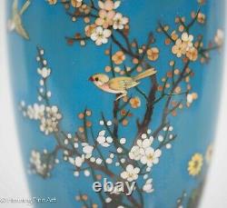 Beautiful Vintage Japanese Blue Cloisonne Vase with Cherry Blossoms & Birds