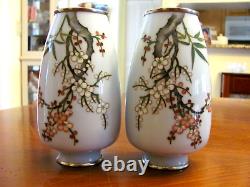 C1910 Japanese Nekka Ando Jubei Cloisonne Cherry Blossoms Mirror Images Vases Ex