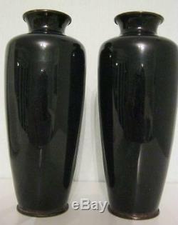 C19th Japanese Cloisonne Wisteria Decorated Vase Pair 6 AF