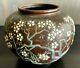 Cloisonne Vase Bronze Cherry Blossom And Kanji Old Japanese Antique Meiji Japan