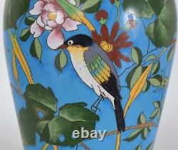 Fine Japanese Cloisonné Enamel Vase Birds Flowers Blue Ground Meiji Period