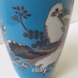 Fine Japanese Cloisonne Pigeon Dove Vase Meiji Period