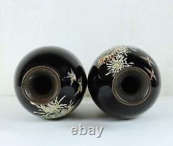 Fine Pair of Japanese Meiji Cloisonné Vases, Height 30cm