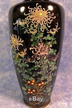 Fine Rare Antique Silver Wire Japanese Meiji Cloisonne Chrysanthemum 21cm Vase