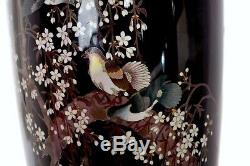 Japanese Cloisonne Enamel Shippo Vase Pigeon Dove Bird Cherry Blossom 12 30cm