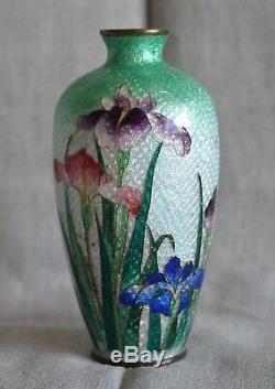 Japanese Ginbari Cloisonne Vase, Miniature Iris Flowers Ombre Green 1900s 5