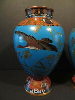 Japanese Meiji Period Cloisonne Pr 10.25 Blue Red Vases with Ducks One AS IS