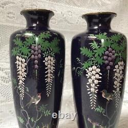 Japanese Meiji Period Quality Pair Cloisonné Vases, Wisteria On Dark Blue Ground