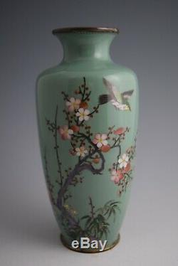 Japanese Meiji Silver Wire Cloisonne Vase White-eye, Plum Blossom & Bamboo #123