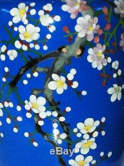 Japanese cloisonne enamel vase with Cherry Blossoms (sakura) with Artist Mark