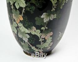 Large Antique Japanese Cloisonne Black Enamel Chrysanthemum Flowers Vase