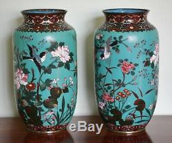 Large Pr of Antique Japanese cloisonne vases decorated with birds & butterflies