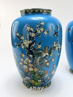 Lovely Pair Japanese Meiji Blue Cloisonne Phoenix Magpie Birds Prunus Tree Vases