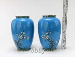 Lovely Pair Japanese Meiji Blue Cloisonne Phoenix Magpie Birds Prunus Tree Vases