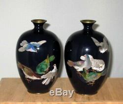 Lovely Pair Meiji Period Japanese Silver Wire Cloisonne Enamel Vases with Pigeons
