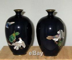 Lovely Pair Meiji Period Japanese Silver Wire Cloisonne Enamel Vases with Pigeons