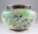 Meiji Cloisonne Butterfly Bird Flower Vase 7.1 Inch Wide Japanese Antique Art