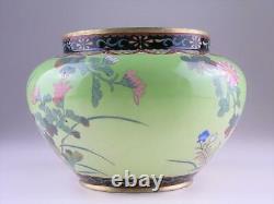MEIJI Cloisonne Butterfly Bird Flower Vase 7.1 inch Wide Japanese Antique Art