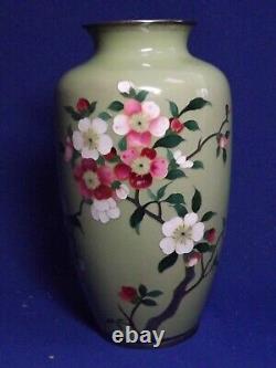 Meiji Japanese Cloisonné Celadon Vase WithTree Flowers Silver Wires Silver Base